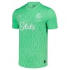 Original Fußballtrikot Everton Torwart 2025-26 Grüne Für Herren